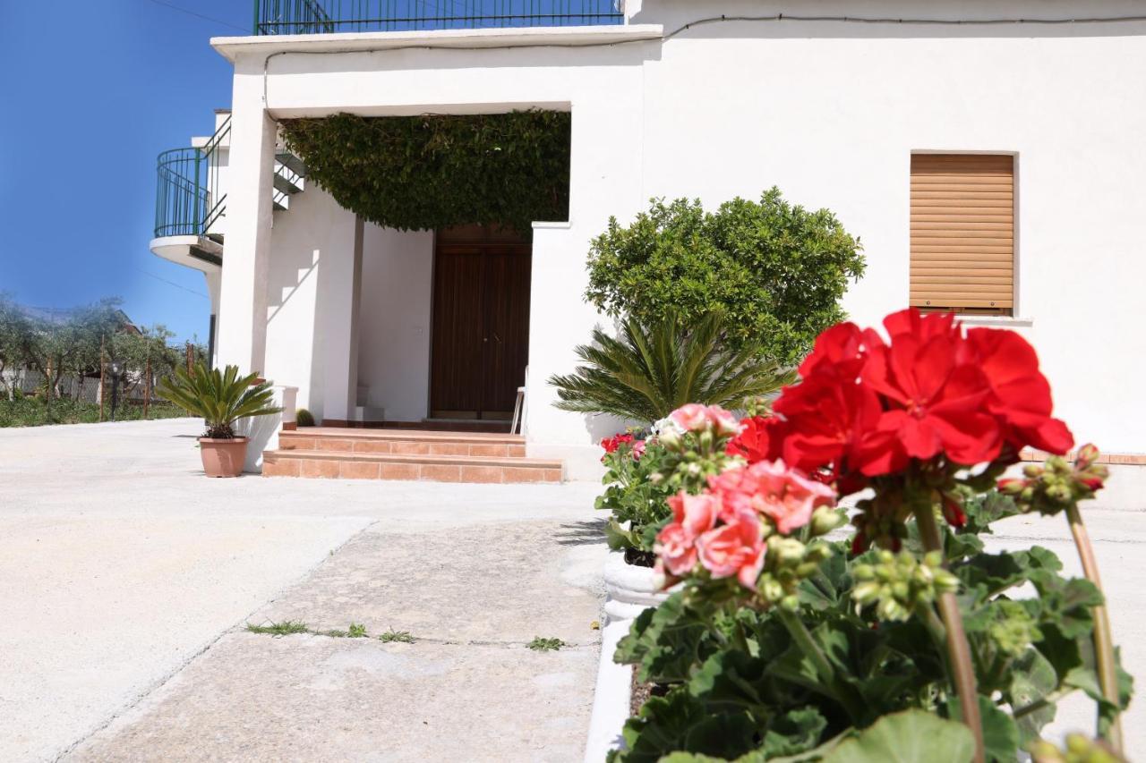 B&B Vannefora San Nicola Arcella Eksteriør billede