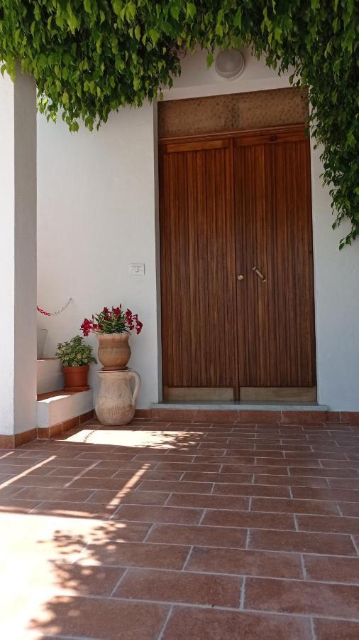 B&B Vannefora San Nicola Arcella Eksteriør billede